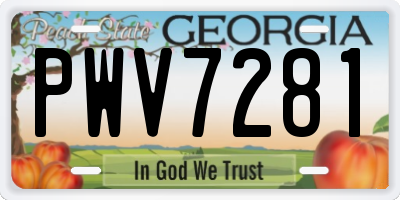GA license plate PWV7281