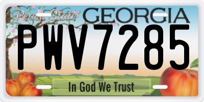 GA license plate PWV7285
