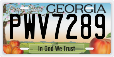 GA license plate PWV7289