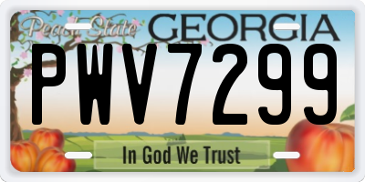 GA license plate PWV7299