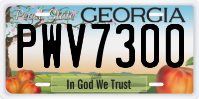 GA license plate PWV7300