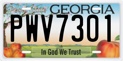 GA license plate PWV7301