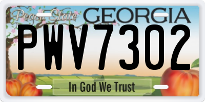 GA license plate PWV7302