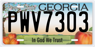 GA license plate PWV7303
