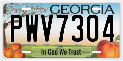 GA license plate PWV7304