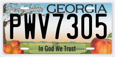 GA license plate PWV7305