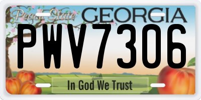GA license plate PWV7306