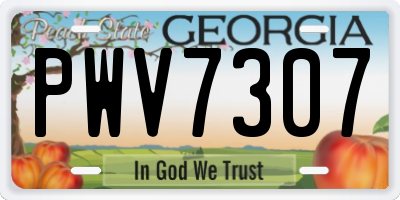 GA license plate PWV7307