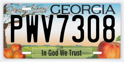 GA license plate PWV7308
