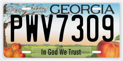 GA license plate PWV7309