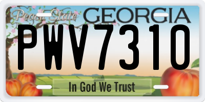 GA license plate PWV7310