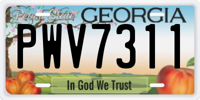 GA license plate PWV7311