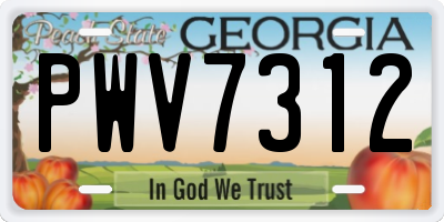 GA license plate PWV7312