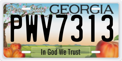 GA license plate PWV7313