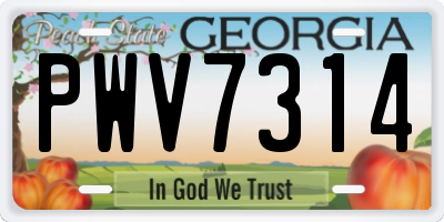 GA license plate PWV7314