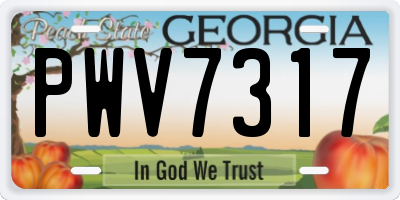 GA license plate PWV7317