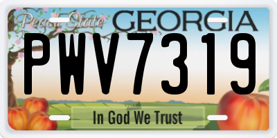 GA license plate PWV7319