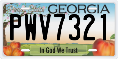 GA license plate PWV7321