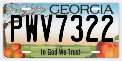 GA license plate PWV7322