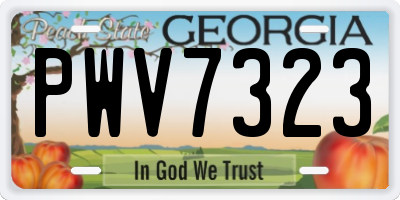 GA license plate PWV7323
