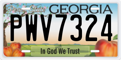 GA license plate PWV7324