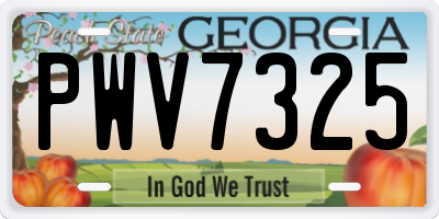 GA license plate PWV7325