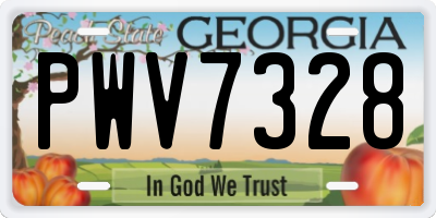 GA license plate PWV7328