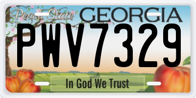 GA license plate PWV7329