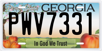 GA license plate PWV7331