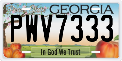 GA license plate PWV7333