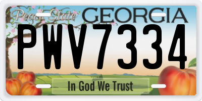 GA license plate PWV7334