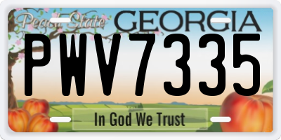 GA license plate PWV7335