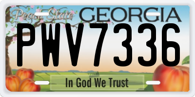 GA license plate PWV7336