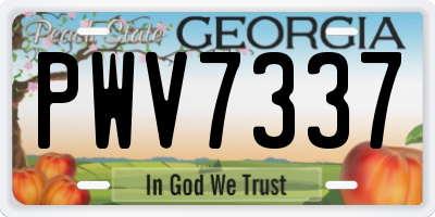 GA license plate PWV7337