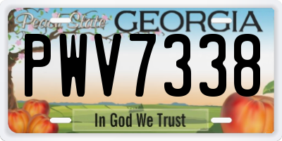 GA license plate PWV7338