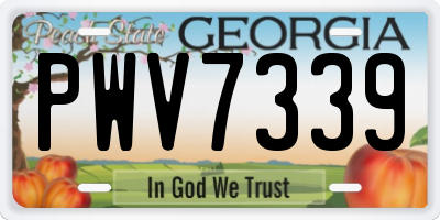 GA license plate PWV7339