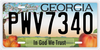 GA license plate PWV7340