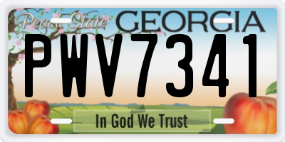 GA license plate PWV7341