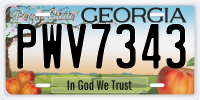 GA license plate PWV7343