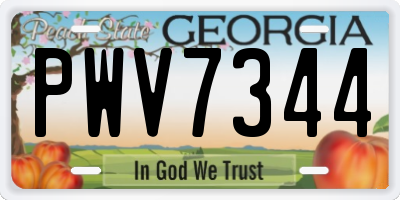 GA license plate PWV7344