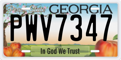 GA license plate PWV7347
