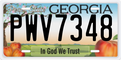 GA license plate PWV7348
