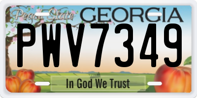 GA license plate PWV7349