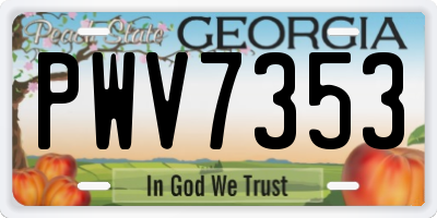 GA license plate PWV7353