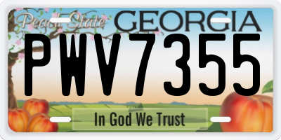 GA license plate PWV7355