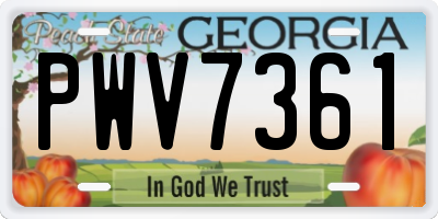 GA license plate PWV7361