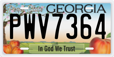 GA license plate PWV7364