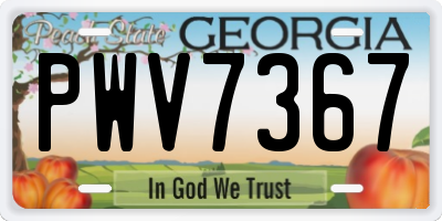 GA license plate PWV7367