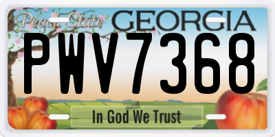 GA license plate PWV7368