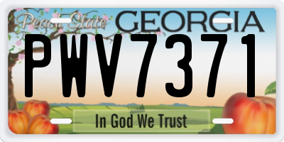 GA license plate PWV7371
